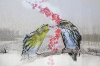 /album/vogels/decem201600006-jpg/